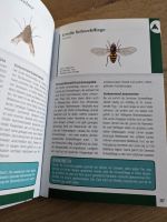 Insekten und Spinnen entdecken und bestimmen Hessen - Lich Vorschau