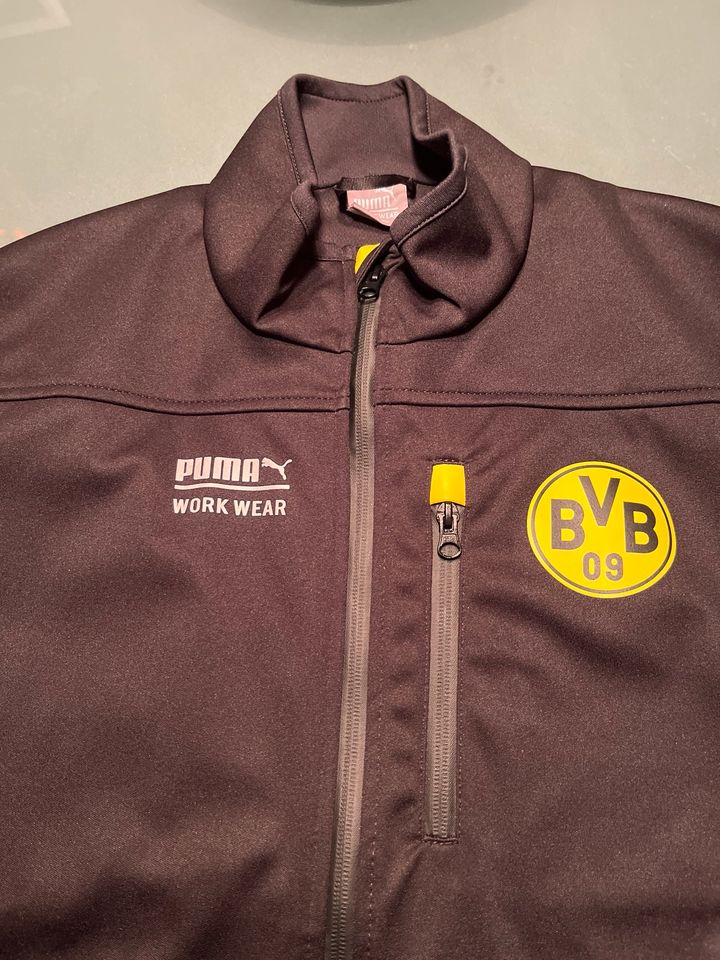 Borussia Dortmund Work Wear Jacke in Heilbad Heiligenstadt