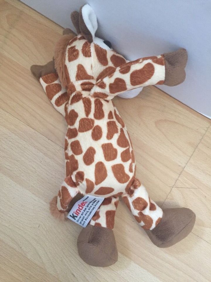 Eisbär , Giraffe , Katze u. Elch Plüsch von Ferrero - Kinder in Wiesbaden