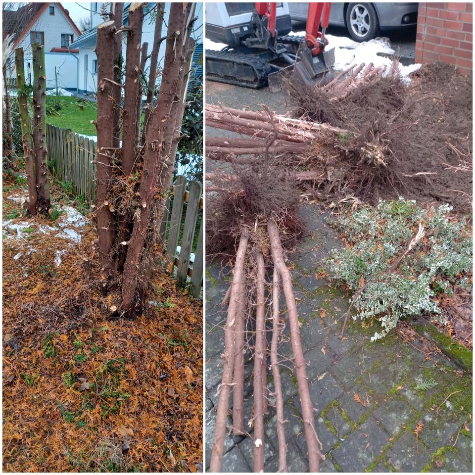 Wir bieten Gartenarbeit und komplette Grundreinigung an in Bielefeld