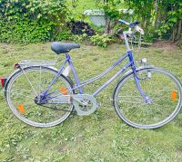 28 zoll fahrrad Hessen - Lahnau Vorschau