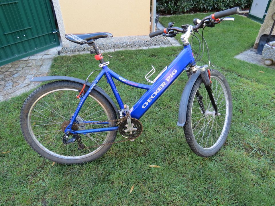 Marken Fahrrad Mountainbike blau Checker Pig in Burgebrach