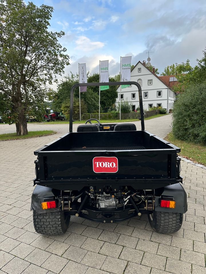 Toro Workman HDX 4WD Transportfahrzeug Gator in Weidenbach