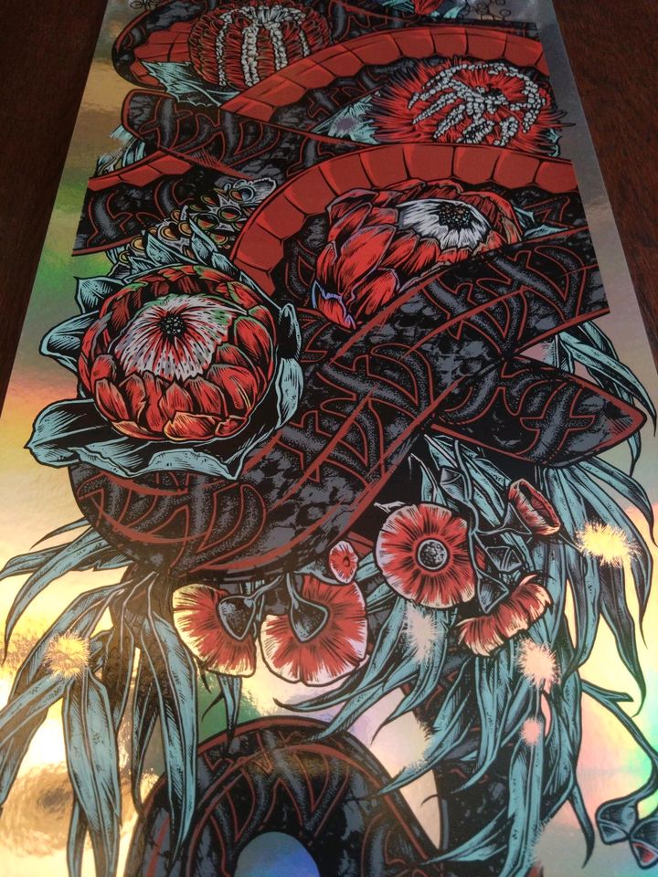 Foo Fighters Siebdruck Poster Rhys Cooper Folien Druck Limited Ed in Jena