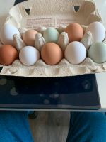 Verkaufe von freilebenden Hühnern Eier. Thüringen - Wachstedt Vorschau