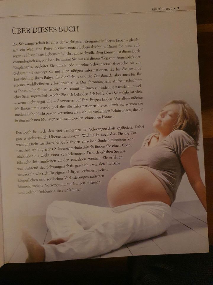 Meine Schwangerschaft Woche für Woche in Regensburg