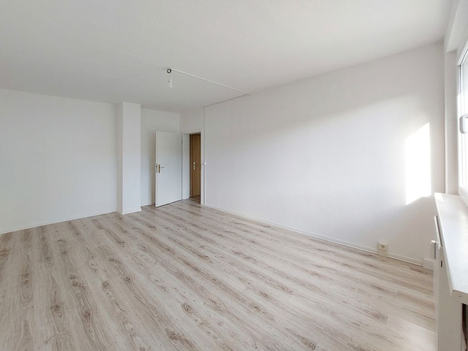 EINBAUKÜCHE optional möglich! Frisch renoviere 1-Zimmer-Wohnung im (H)Erzgebirge! in Neuhausen