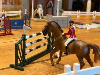 Schleich Horse Club Turnier Platz 42338 großes Reitturnier Baden-Württemberg - Erbach Vorschau