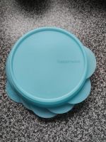 NEU Tupperware Deckel ca. 18 cm Tupper Deckel Schüssel Ersatz Bayern - Bastheim Vorschau