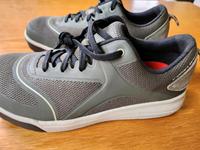 Engelbert Strauß Arbeitsschutz Schuhe Neu Gr 41 Sachsen - Ebersbach bei Großenhain Vorschau