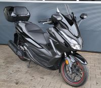 Honda Forza NSS 125ccm / Topcase / Roller / Scheckheft gepfl. Baden-Württemberg - Donzdorf Vorschau