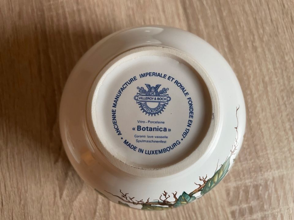 Villeroy & Boch Botanica anno 1748 Schüsseln in Weinstadt