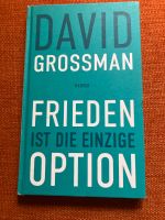 David Grossmann Frieden ist die einzige Option sehr gut Hessen - Melsungen Vorschau