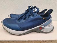 Salomon alpha Cross 39 Rheinland-Pfalz - Bad Dürkheim Vorschau