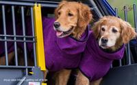 Hundebademantel actionfactory ® dryup cape viele Farben XS - 2XL Bayern - Kleinaitingen Vorschau