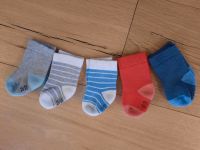 5 neuwertige Frotteesocken Socken von Tchibo TCM in 62/68 Baden-Württemberg - Nattheim Vorschau