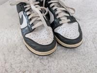 Nike Dunk Low Premium Größe 41 Berlin - Pankow Vorschau