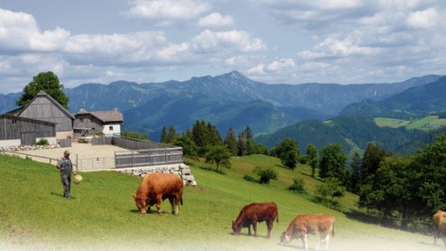 Bauernhof Aussiedlerhof Grundstück Haus Gesucht in Waldbröl