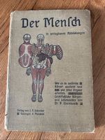 Der Mensch altes Buch um 1900 Medizin Bayern - Aichach Vorschau