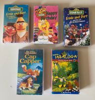 VHS Kassetten Sesamstraße Walt Disney Tabaluga Hessen - Biebergemünd Vorschau