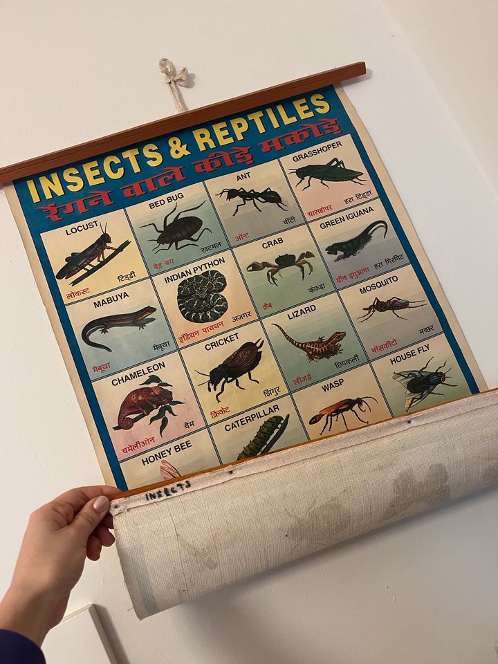 Stoff-Poster „Insects“ in Dortmund