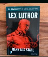 Lex Luthor-Mann aus Stahl HC Baden-Württemberg - Lahr (Schwarzwald) Vorschau