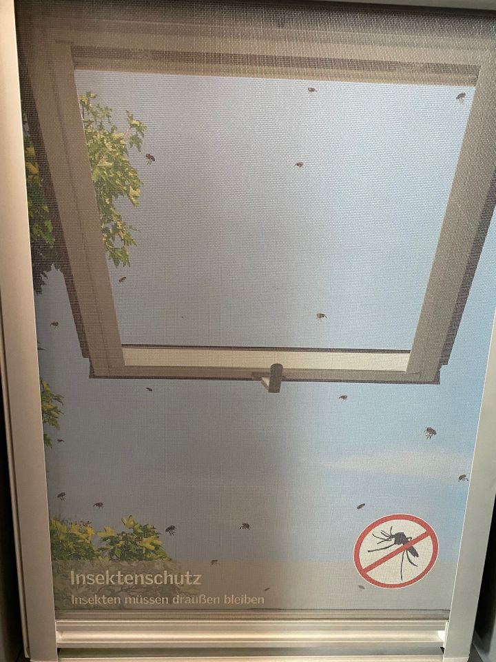 Velux Insektenschutz Rollo verschiedene Typen Fenster Dachfenster in Alt Mölln