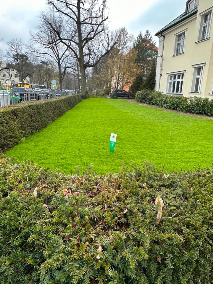 Rasenbau in Verbindung mit einer wlan-basierten/wetterabhängiger Beregnungsanlagen mit Rotationsregnern in Stralsund