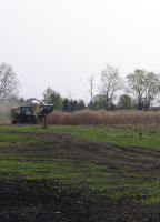 Miscanthus, Hackschnitzel, Einstreu, Mulch, Beetabdeckung Sachsen - Lauta Vorschau