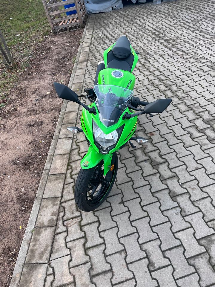 Kawasaki Ninja 125 in Landau in der Pfalz