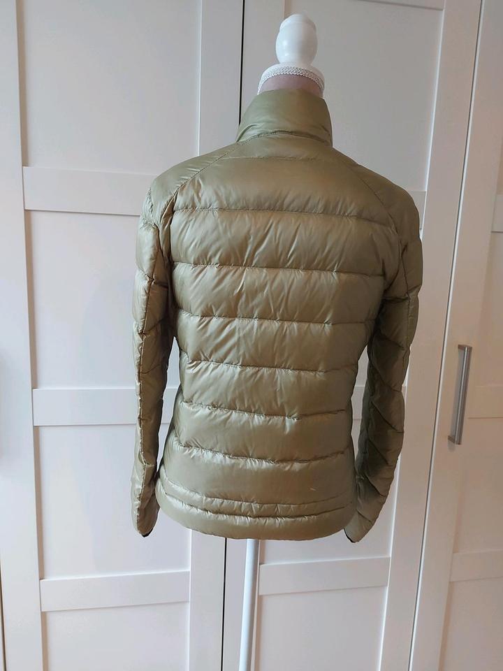 Blauer USA Daunenjacke Oliv Grün Neuwertig S-L in Bremen