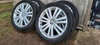 Sommerräder 17 Zoll Nardo Vw Touran Golf 5 6 225/45R17 Reifen Schleswig-Holstein - Pronstorf Vorschau