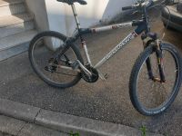 Bergamont Männer Fahrrad Baden-Württemberg - Lahr (Schwarzwald) Vorschau