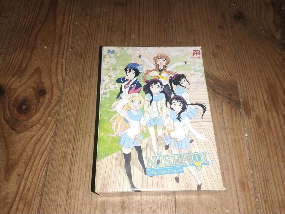 Anime Sammlung DVDs Staffeln in Jarmen