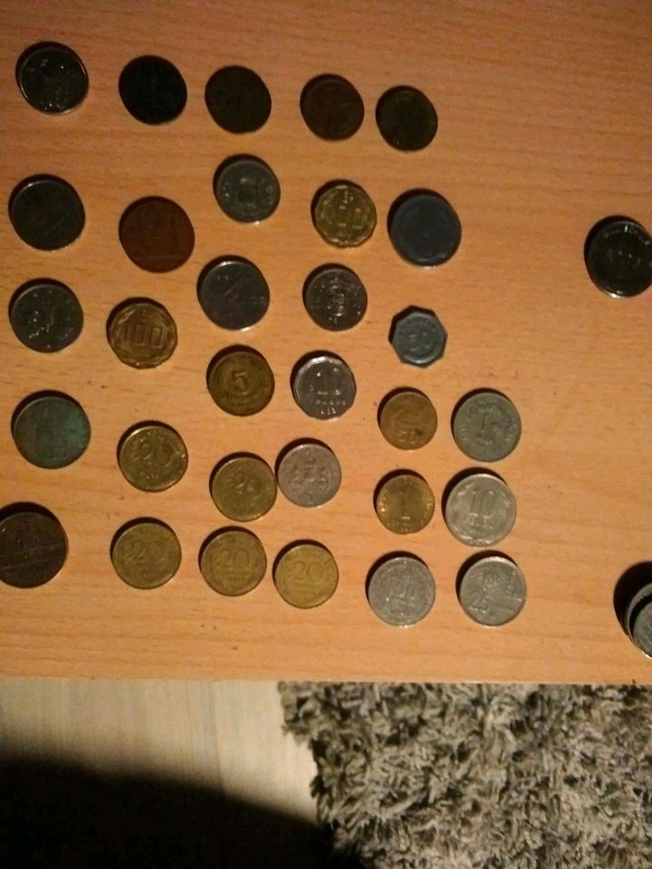 Münzen aus verschiedenen Ländern in Königslutter am Elm