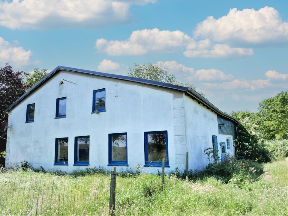 Resthof in schöner Deichlage im Nordseebad Friedrichskoog in Friedrichskoog