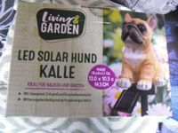 kleine Solarlampe Französische Bulldogge Niedersachsen - Ostrhauderfehn Vorschau