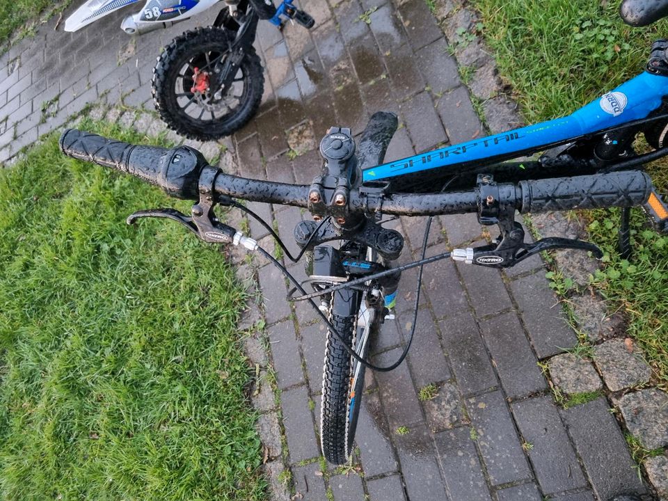 Fahrrad 24 Zoll in Petershagen