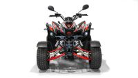 Quad AEON Cobra 424 Euro 5 Supermoto Schleswig-Holstein - Travenbrück Vorschau