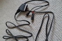 Scart Kabel mit Audioausgang Rostock - Evershagen-Süd Vorschau