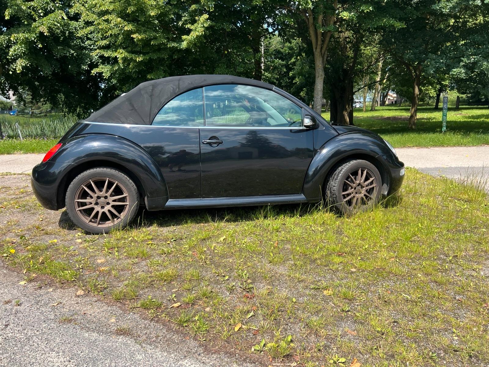 Abbildung des Autos VW New Beetle 1,9TDI