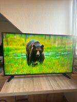 Fernseher Samsung 43 Zoll 4K UHD Niedersachsen - Emden Vorschau