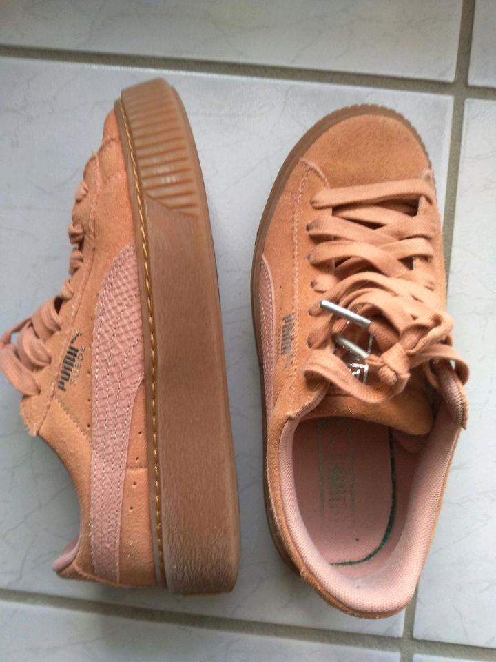 Puma Sneaker 37 altrosa apricot in Werbach