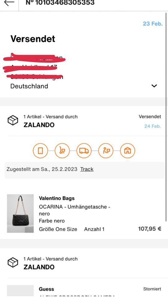 Valentino Tasche in Schlangen