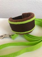 Hundeleine leicht Windhundhalsband Zugstopp Whippet Halsband Bayern - Saal Vorschau