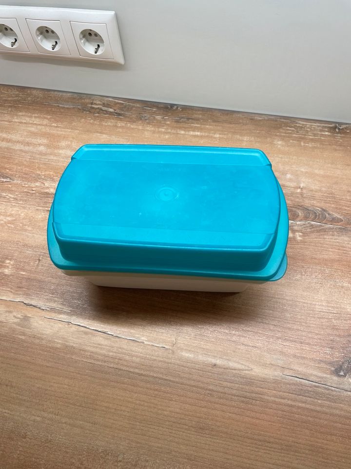 Tupperware Four Seasons große Lunchbox Frischegitter grün weiß in Salzwedel