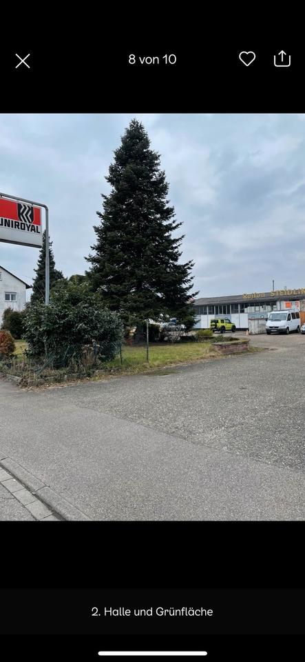 Einfamilienhaus mit angrenzenden Gewerbehallen in 77933 LAHR in Lahr (Schwarzwald)