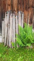 Alte Holz-Weidezaunpfähle Bayern - Krumbach Schwaben Vorschau