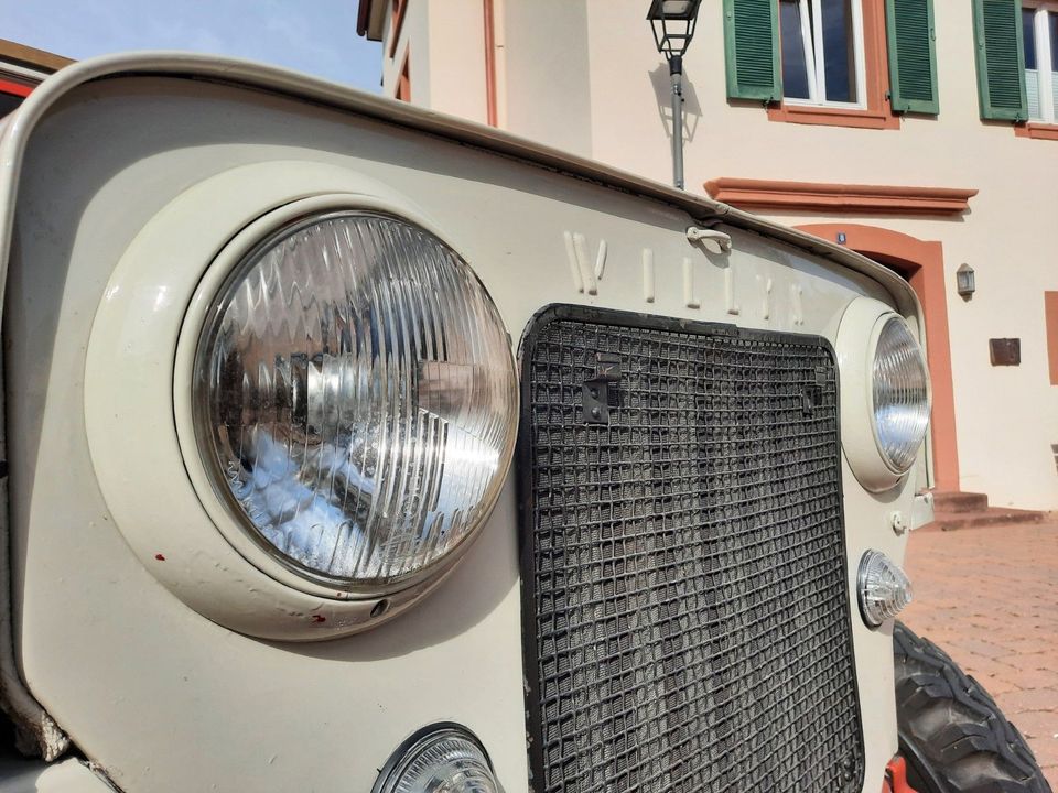 Jeep Willys/ H-Zulassung/Schweizer Fahrzeug in Emmendingen