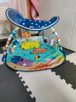 Fisher price Aqua Spielbogen Schleswig-Holstein - Neumünster Vorschau